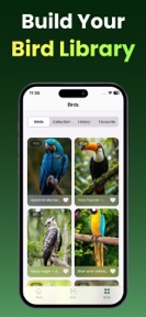 Bird Identifier - Bird Sounds screenshot
