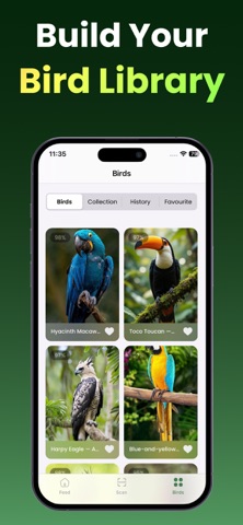 Bird Identifier - Bird Sounds Screenshot 6 of 6
