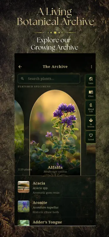 Arcana Atlas screenshot 1 of 7