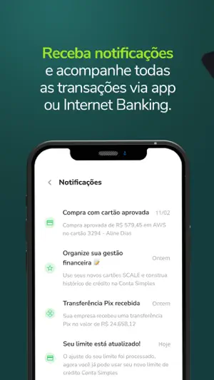 Conta Simples screenshot 4