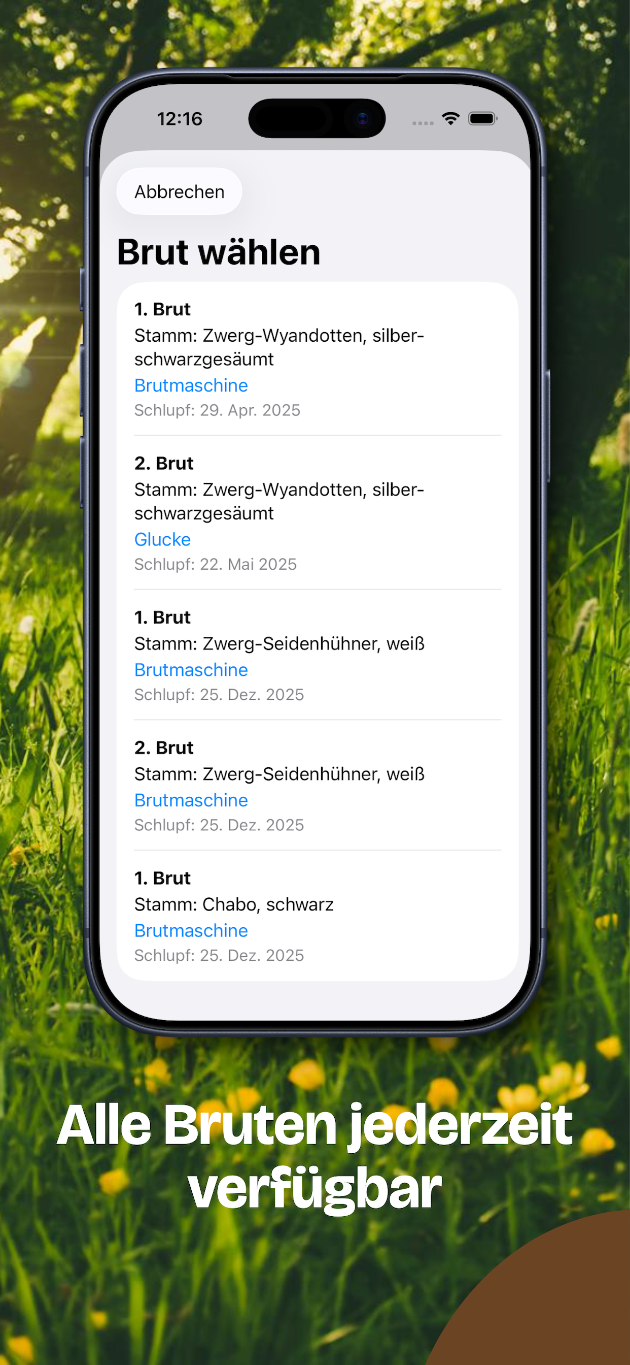 Hühnerzucht