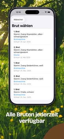 Hühnerzucht screenshot