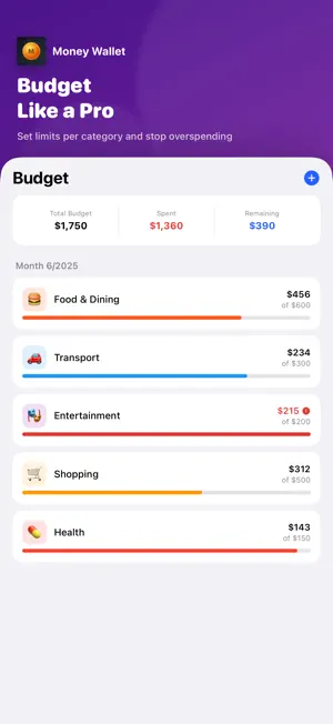 Money Wallet - Loan & Debt screenshot 3