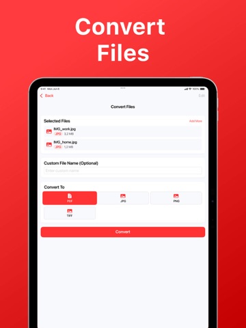 Convert Image to PDF + iPad screenshot