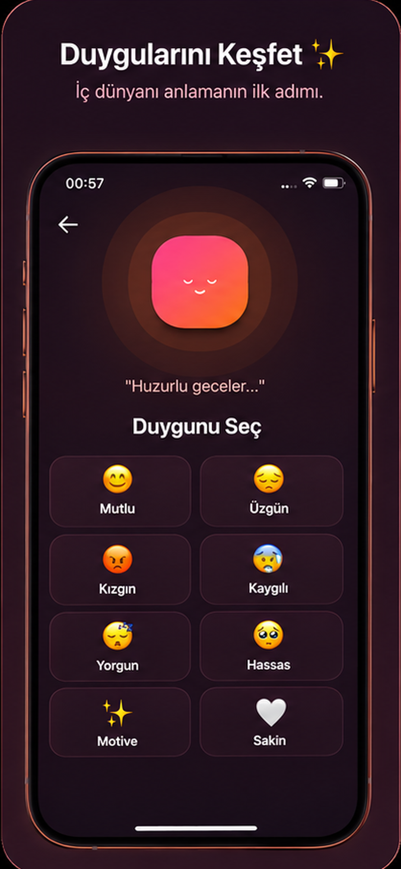 Selfplace screenshot 4