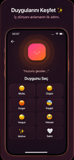 Selfplace screenshot 4