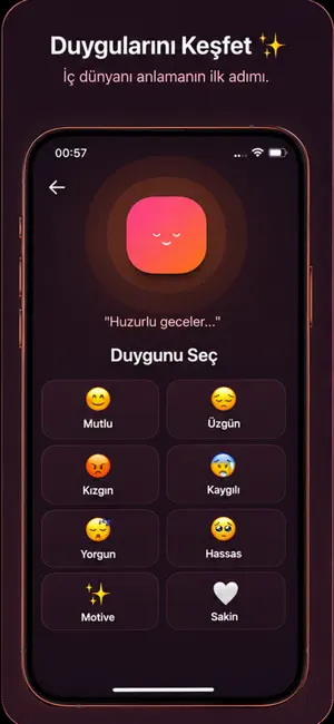 Selfplace screenshot 4