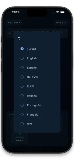 Manyetik Pusula iPhone Ekran Görüntüsü 3