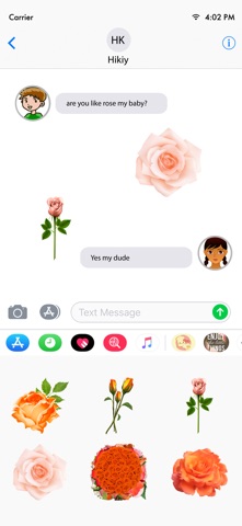 Rose Gold Elegant Stickers iPhone screenshot