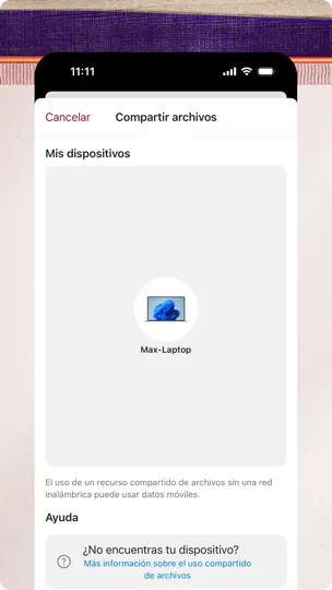 Captura de pantalla de Conexión A Windows en iPhone 4
