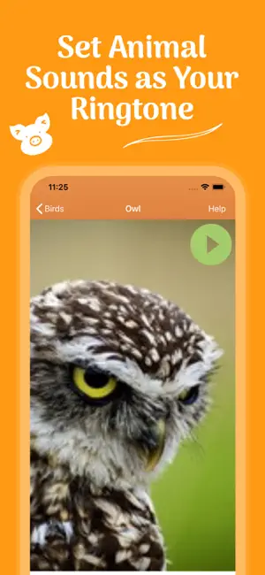 Animal Ringtones & Sounds screenshot 3