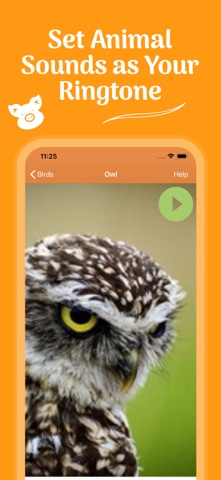 Animal Ringtones & Sounds iPhone screenshot