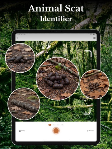 Animal Scat Identifier Scat ID iPad screenshot