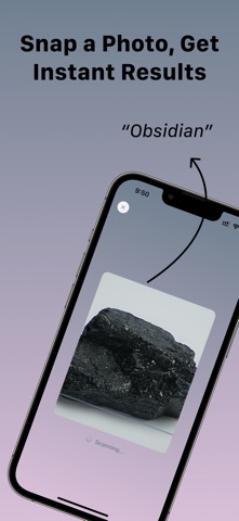Rock Identifier: Gem Id screenshot