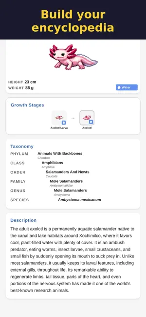 Animalis: Catch Real Animals screenshot 4