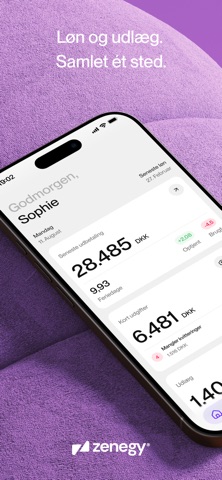 Zenegy screenshot