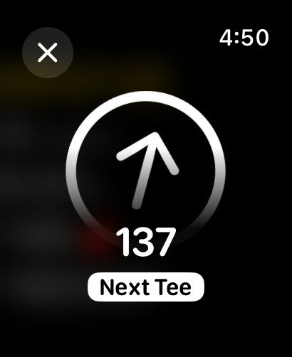 Golf Quartz › Watch + Golf GPS