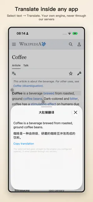 BelliedMonkey Translator screenshot 2