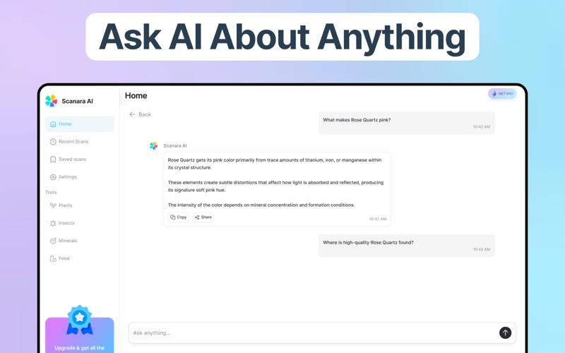 Lens AI & Identify Anything screenshot