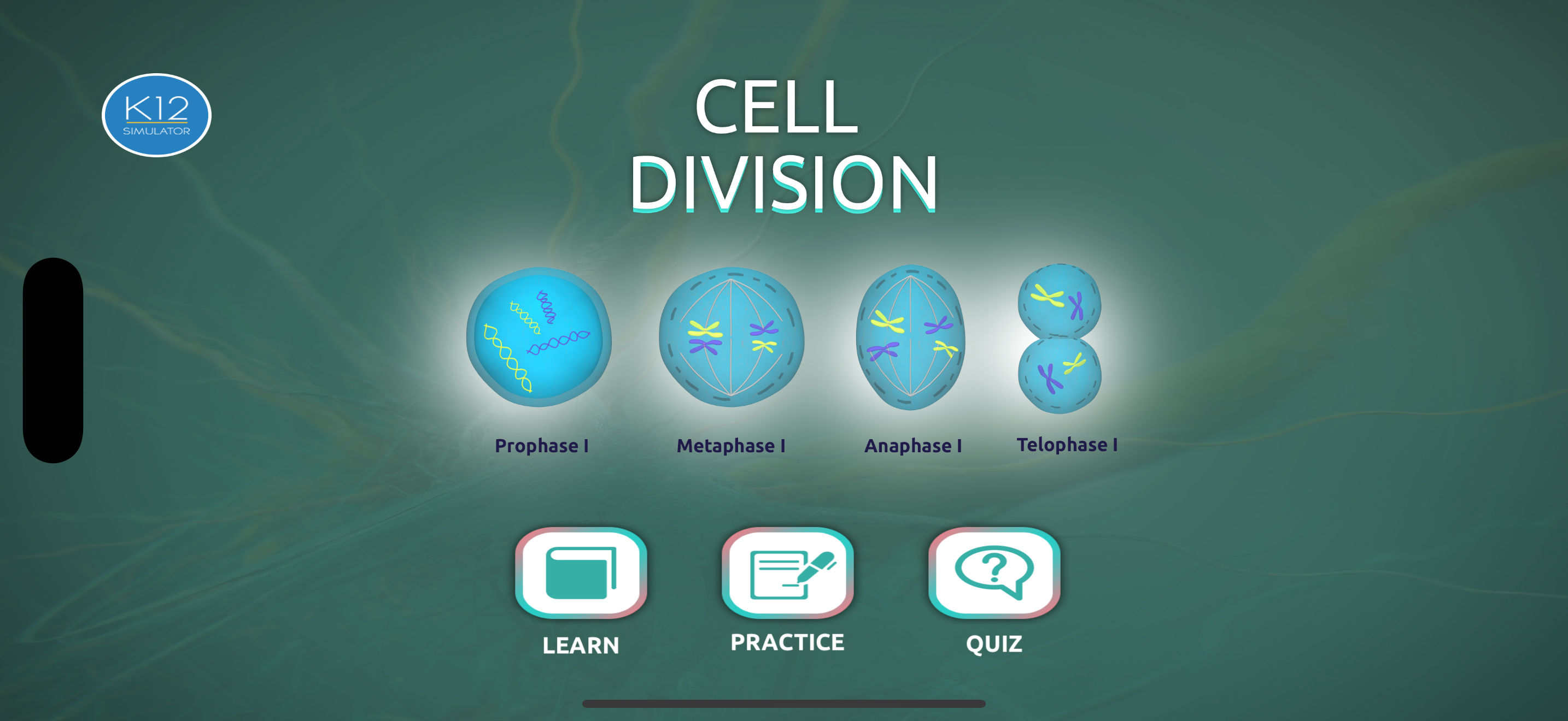 Process of Cell Division