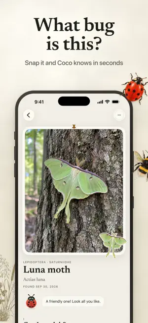 Insect Identifier by Picture screenshot 1