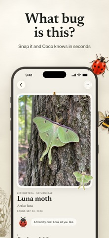 Insect Identifier by Picture Screenshot 1 of 7
