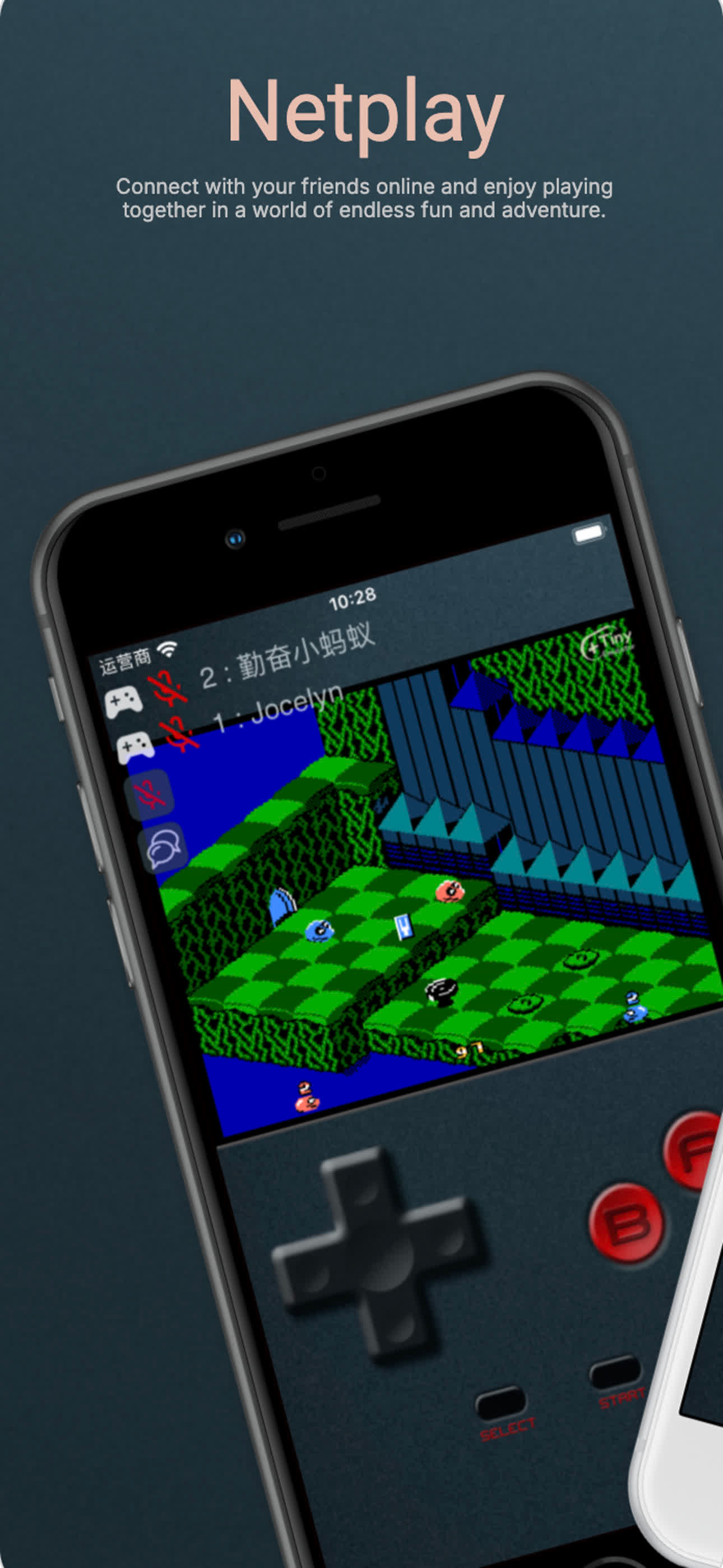TinyEmulator screenshot 3