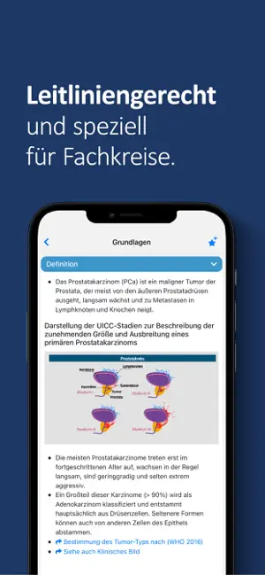 Prostatakarzinom onkowissen screenshot 3