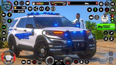 Highway Police Car Chase Screenshot