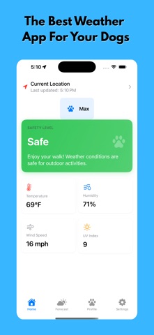 Paws And Weather screenshot