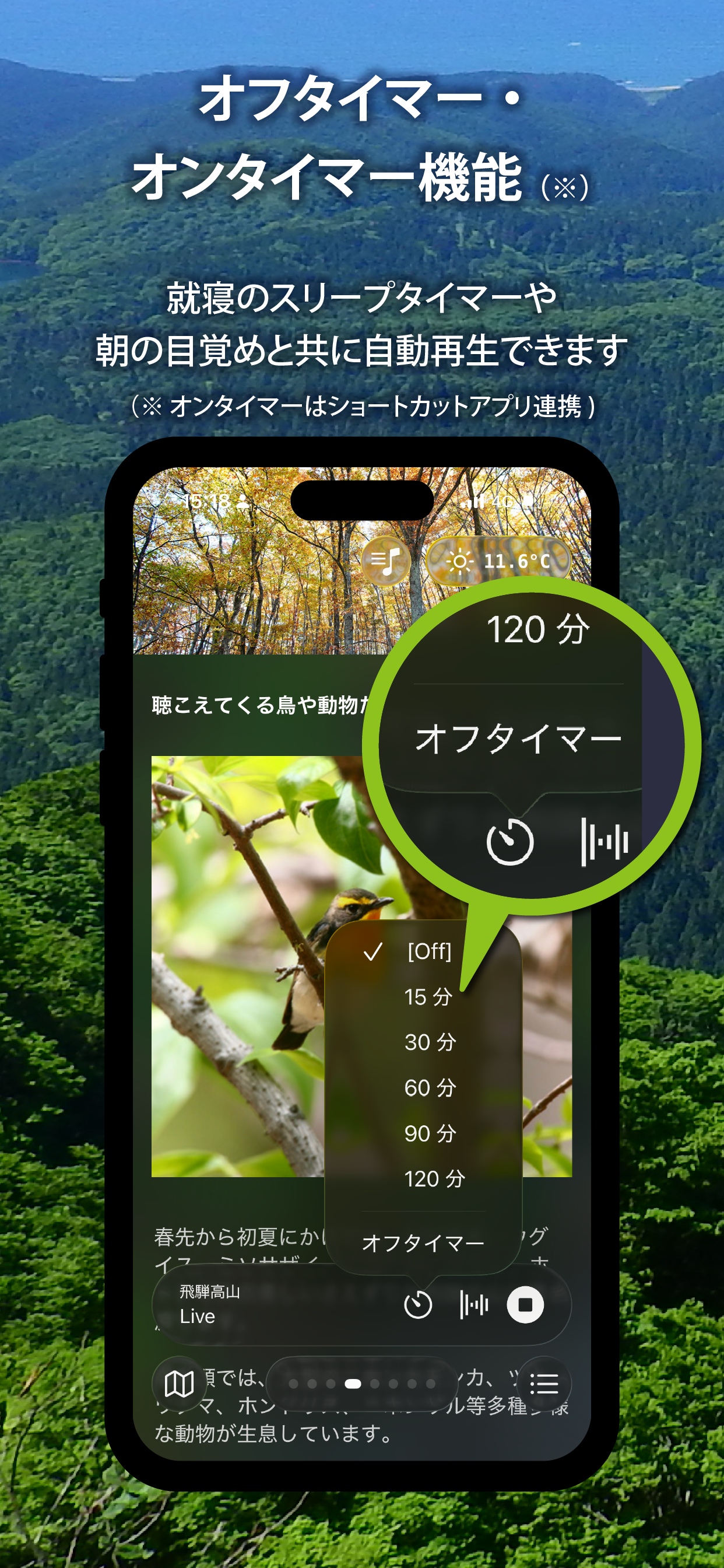 Forest Notes –ライブで聴く森の自然音