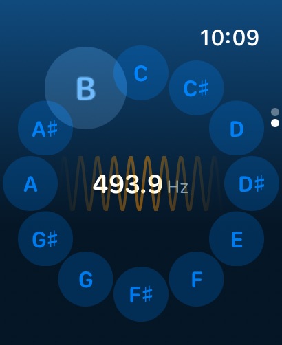 Apple Watch screenshot