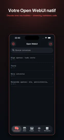 Capture d'écran de OpenWebUI - Mobile sur iPhone 2