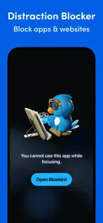 Bluebird Focus Timer screenshot 6