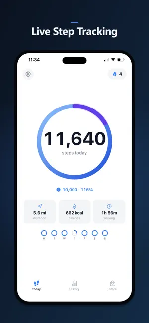 Stepping Stone Pedometer screenshot 1