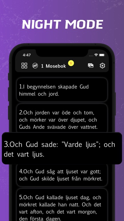 Swedish Bible - offline screenshot-6