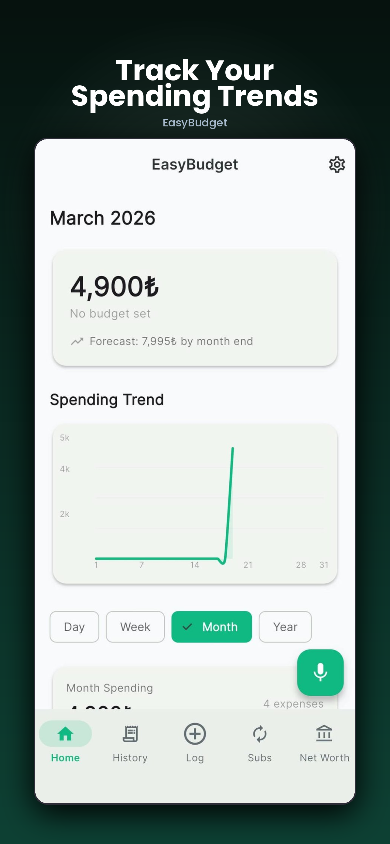 EasyBudget: Voice AI Tracker screenshot 3