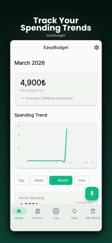 EasyBudget: Voice AI Tracker screenshot