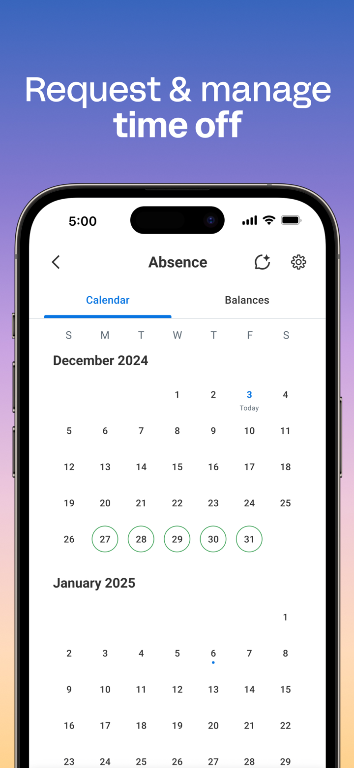 Workday screenshot 5