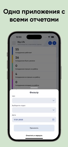Apoint HR screenshot