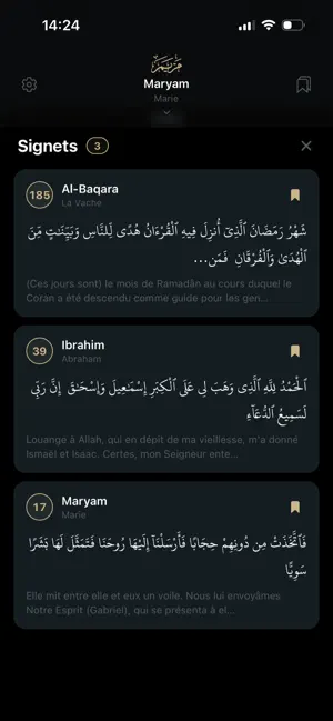 Sakina : Coran en francais screenshot 4
