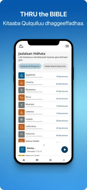TTB Afaan Oromoo: Qo'annoo screenshot 3