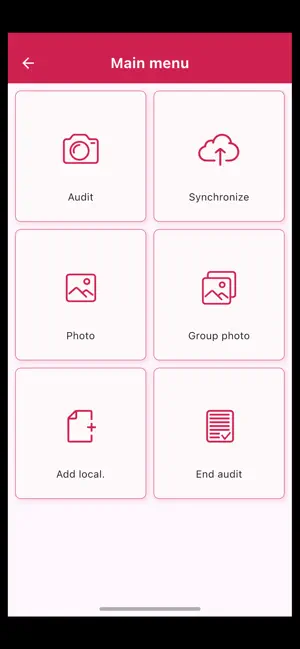 Smart Audyt screenshot 3