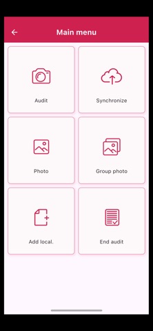 Smart Audyt screenshot