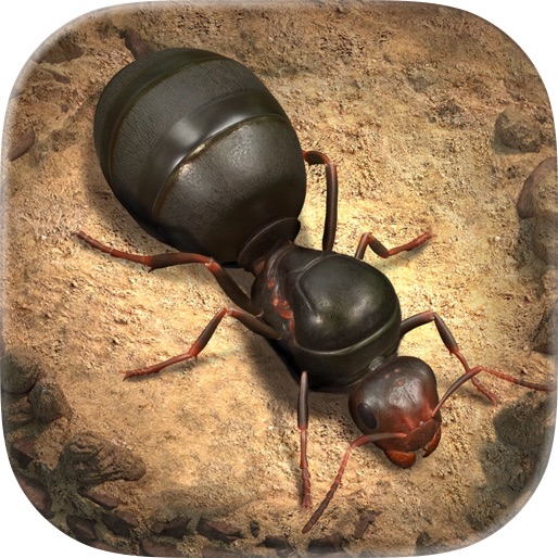 The Ants: Underground Kingdom