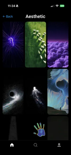 Gallerie Wallpapers iPhone screenshot 3