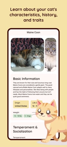 Cat Breed Identifier: Cat ID Screenshot 2 of 3