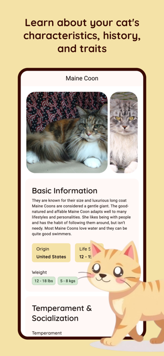Cat Breed Identifier: Cat ID Screenshot 2 of 3