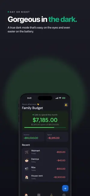 Dudget: Daily Budget Tracker screenshot 3