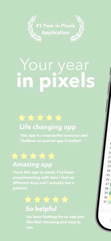 Pixa - My Year in Pixels iPhone screenshot 1